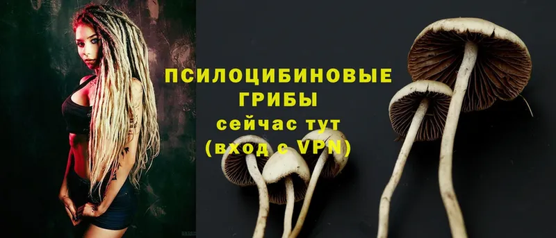 МЕГА как зайти  Барыш  Галлюциногенные грибы Magic Shrooms  магазин продажи  